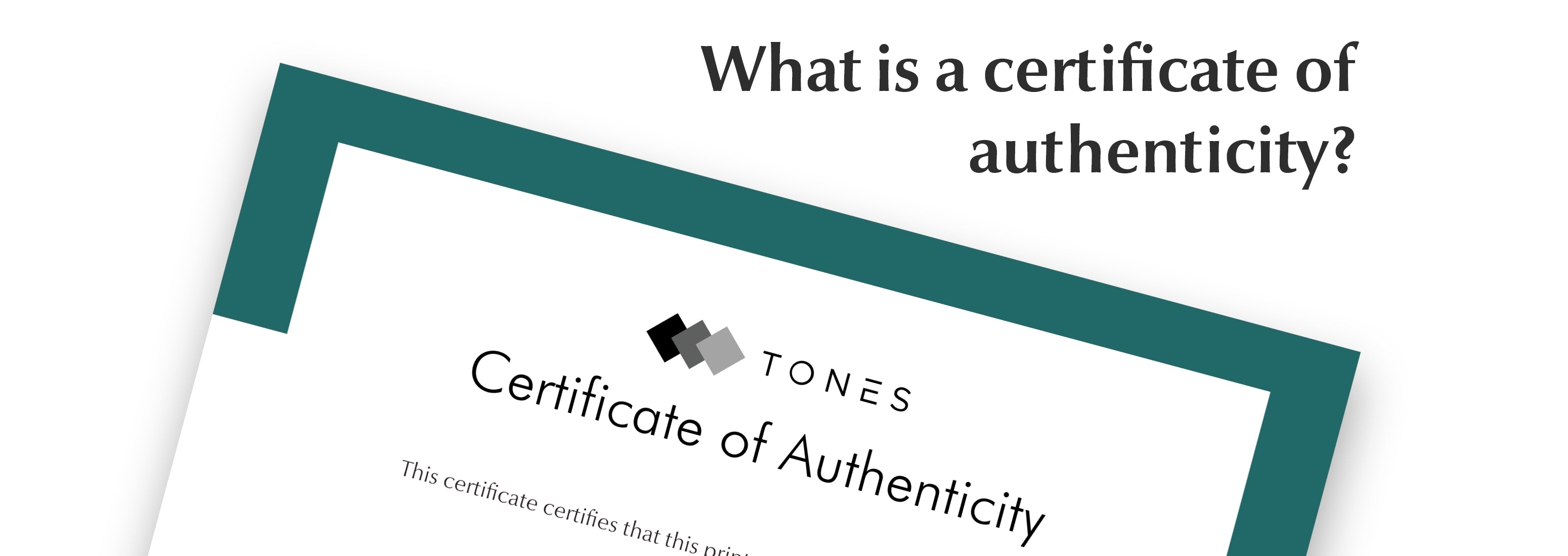 A Certificate of Authenticity: What is it and are they important ...