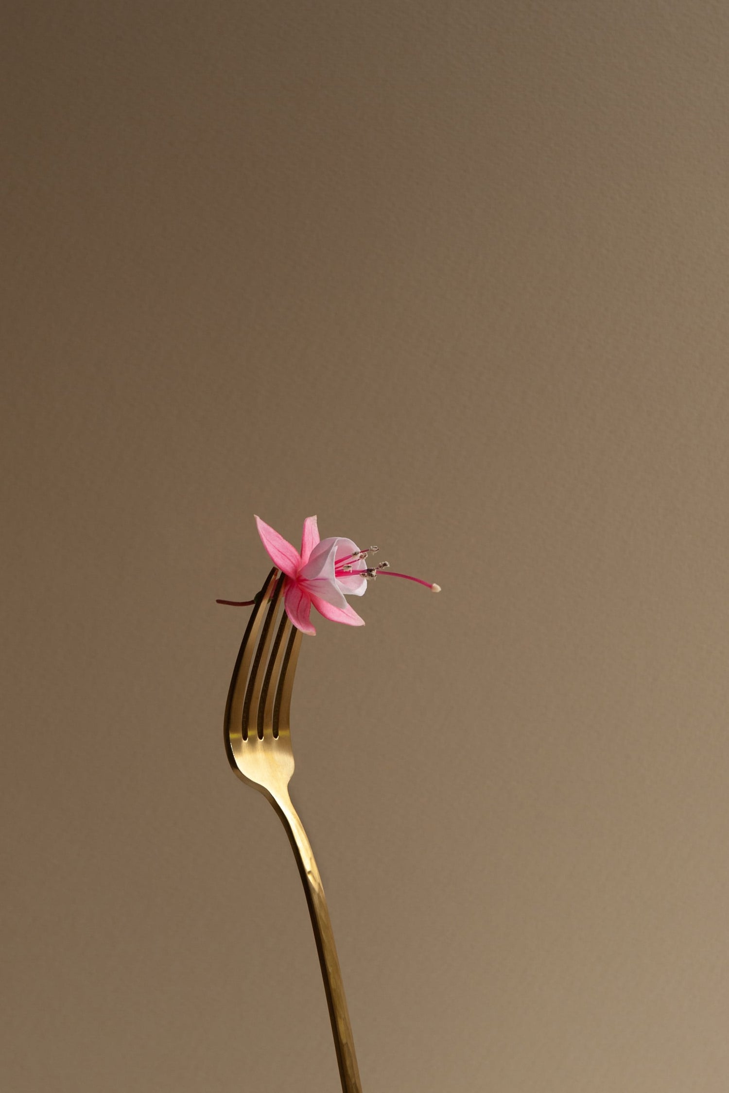 The artpiece 'Equipoise' by Erica Ferraroni shows a perfectly balanced golden fork standing up, with a pink flower delicately placed in between the prongs of the fork on the top.