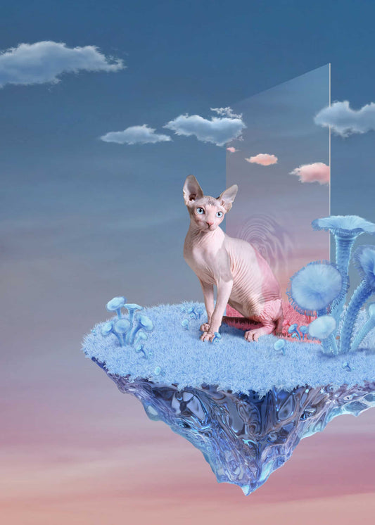 The artpiece 'Creature' by Yang Han from the series Encounter Future shows a cat, sitting on a floating platform, with half of it's body still inside a portal.