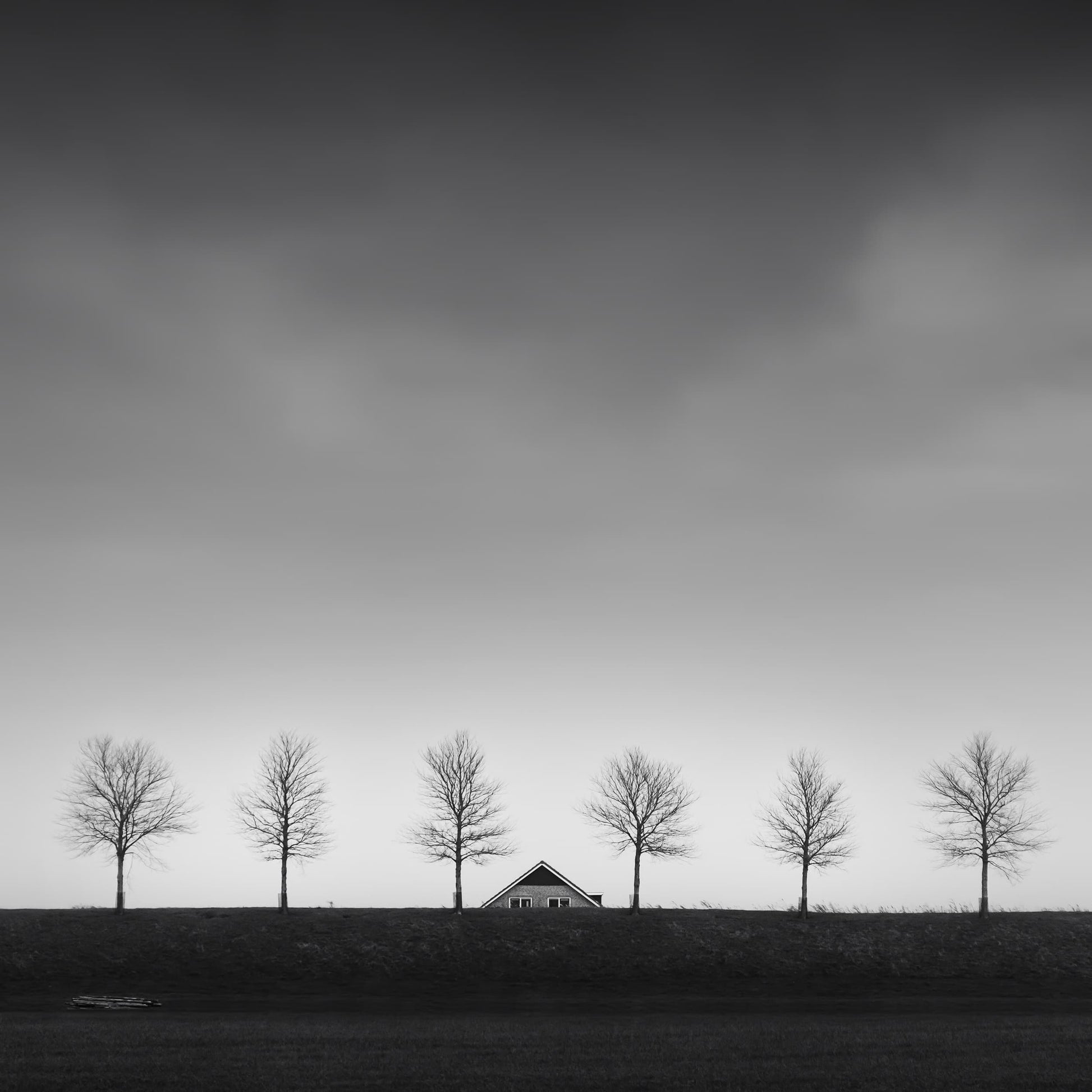 The artpiece 'Behind the Dike' by Marco Maljaars shows a dyke in The Netherlands, covered in trees with the top of a house just visible above the top of the dike.