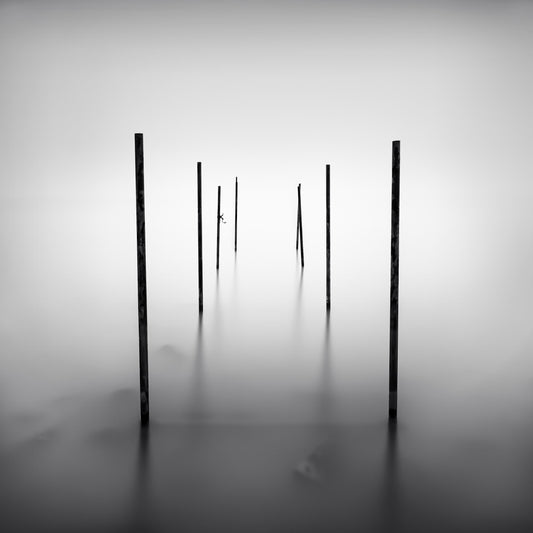 The artpiece 'Eight' by Marco Maljaars shows a mysterious body of water with eight wooden poles coming out of it. Shot in black and white.