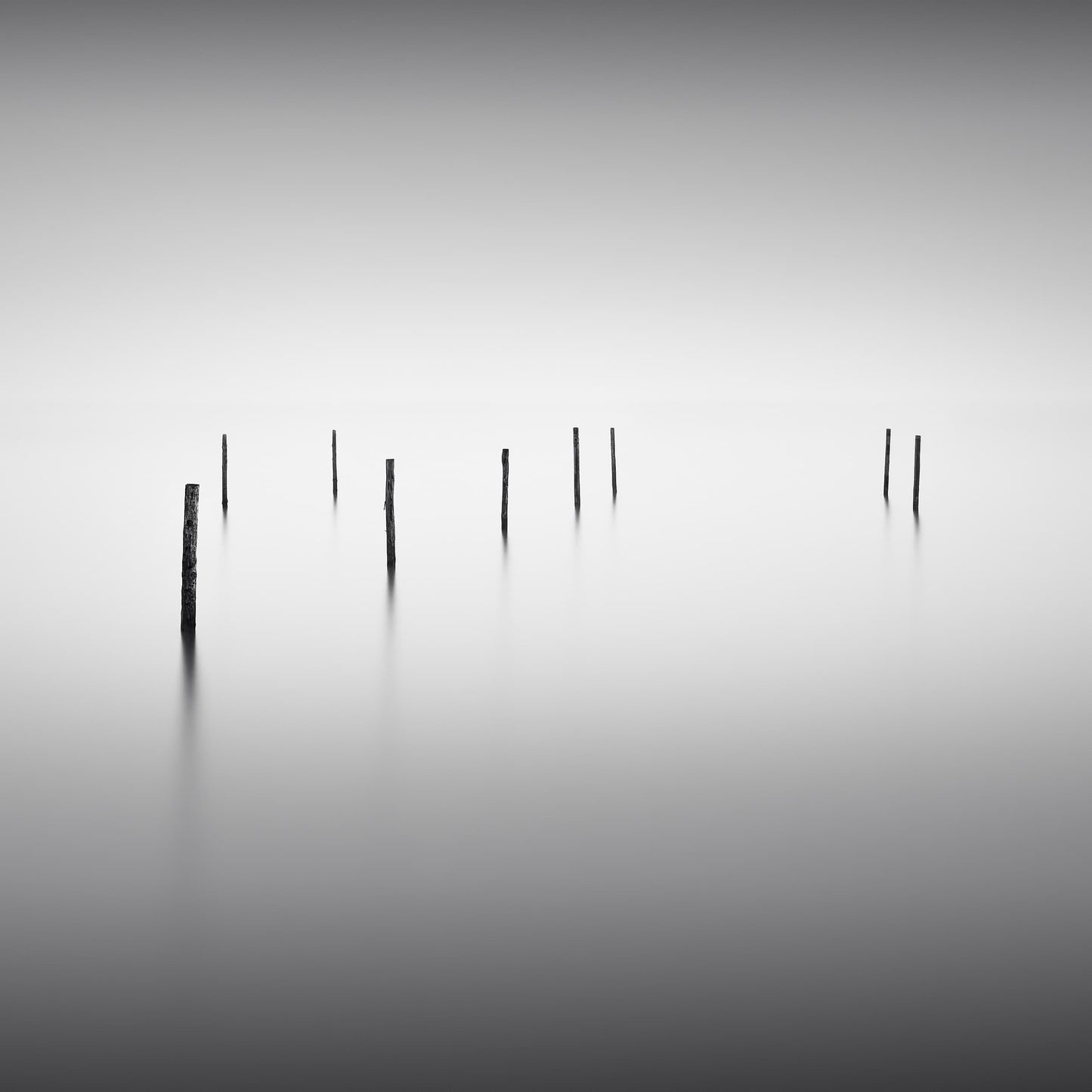 The artpiece 'Simplicity i' by Marco Maljaars shows a constellation of wooden poles coming up out of a foggy silent lake. Shot in black and white.