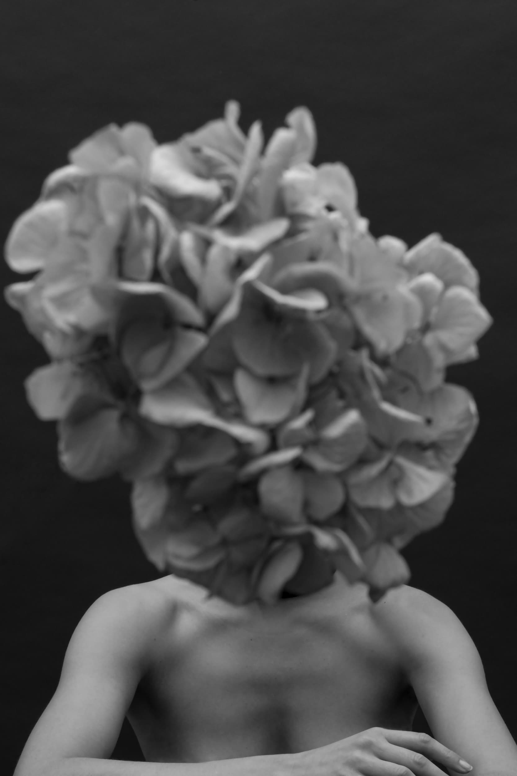 The artpiece 'Elle' by Mathieu Puga shows a sitting woman, with her arms crossed on top of a table, while her face is covered with a large flower, making her anonymous.