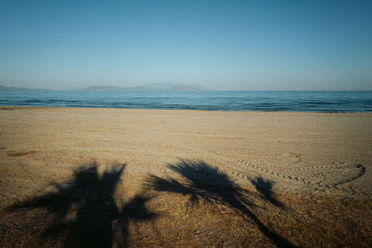 The artpiece 'Shades' by Mikail Sahin shows shadows cast on the beach by a group of palm trees.