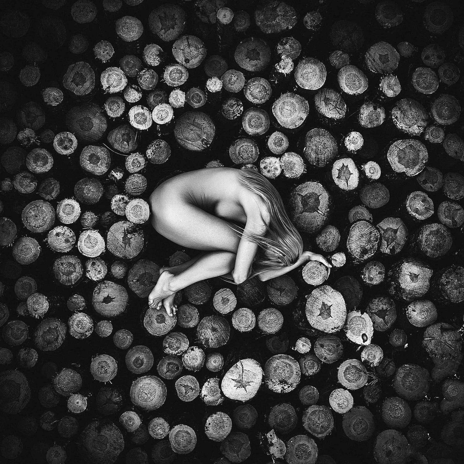 Fine artwork of an anonymous woman curled up on standing tree trunks, with hair cascading over her head and shoulders, in a black and white capture by Ruslan Bolgov.