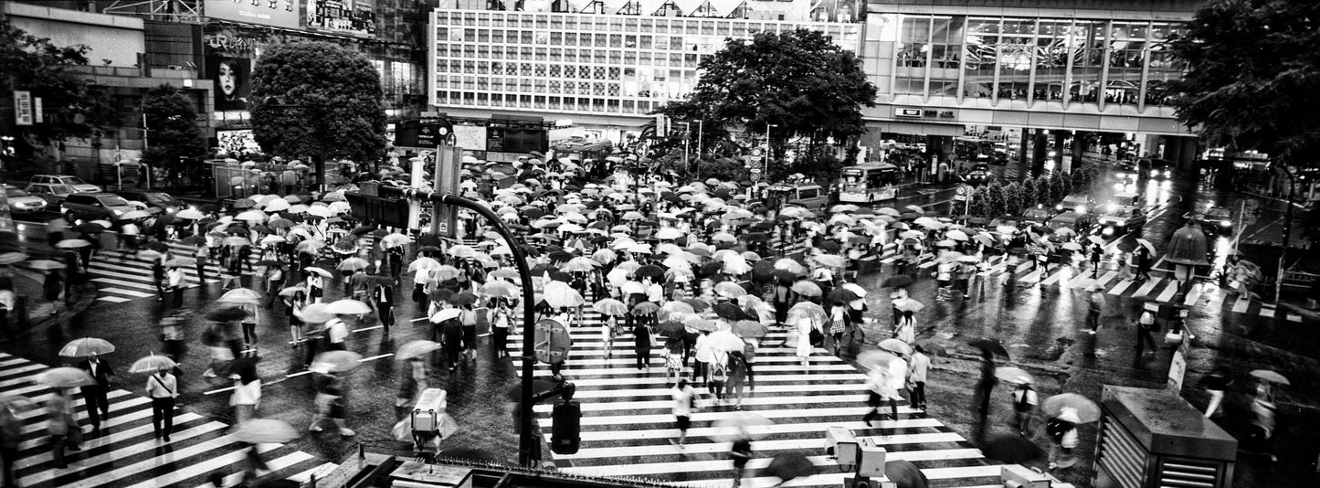 Many umbrellas in the city create a rhythm